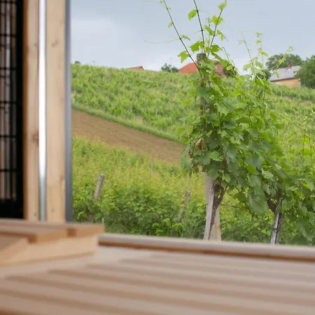 Villa Hisa Vukan - Eco House In Middle Of Vineyard With Sauna! *