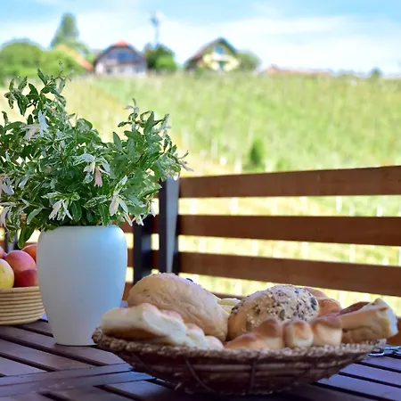 Villa Hisa Vukan - Eco House In Middle Of Vineyard With Sauna! Miklavz pri Ormozu