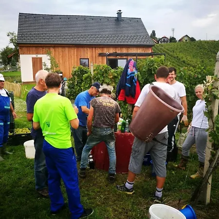 Hisa Vukan - Eco House In Middle Of Vineyard With Sauna! Villa Miklavz pri Ormozu