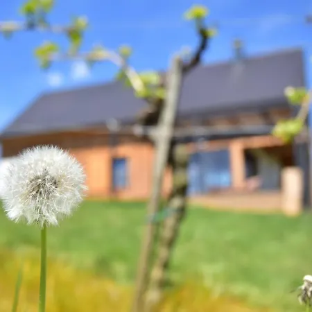 Hisa Vukan - Eco House In Middle Of Vineyard With Sauna! Villa *