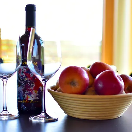 Hisa Vukan - Eco House In Middle Of Vineyard With Sauna! * Miklavz pri Ormozu