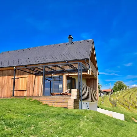 ヴィラ Hisa Vukan - Eco House In Middle Of Vineyard With Sauna!