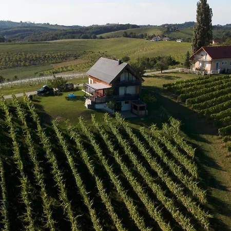 Hisa Vukan - Eco House In Middle Of Vineyard With Sauna! Villa Miklavz pri Ormozu