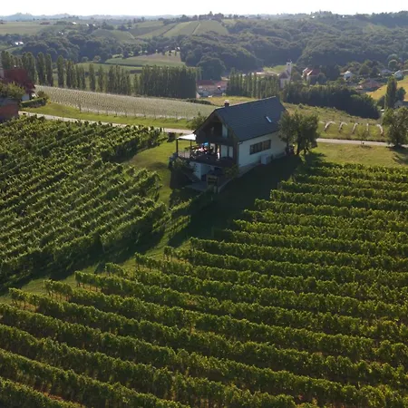 Hisa Vukan - Eco House In Middle Of Vineyard With Sauna! * Miklavz pri Ormozu