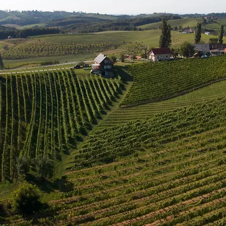 Hisa Vukan - Eco House In Middle Of Vineyard With Sauna! Miklavz pri Ormozu