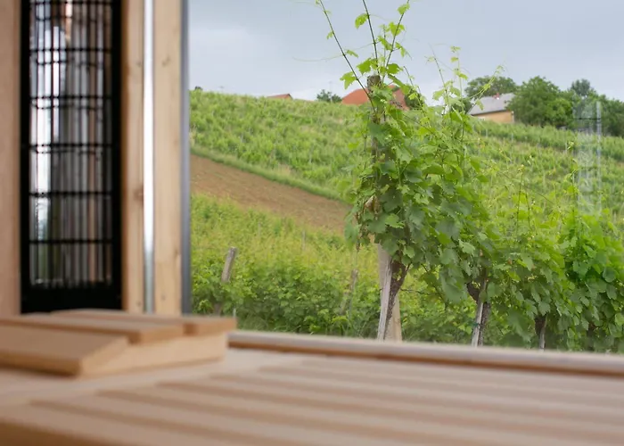 וילה Hisa Vukan - Eco House In Middle Of Vineyard With Sauna! *