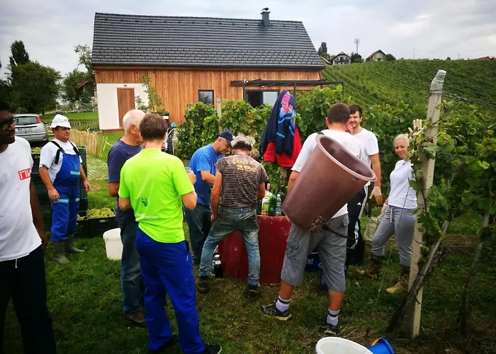 Hisa Vukan - Eco House In Middle Of Vineyard With Sauna! וילה Miklavz pri Ormozu
