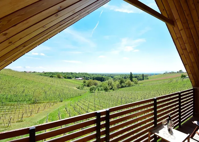 Hisa Vukan - Eco House In Middle Of Vineyard With Sauna!