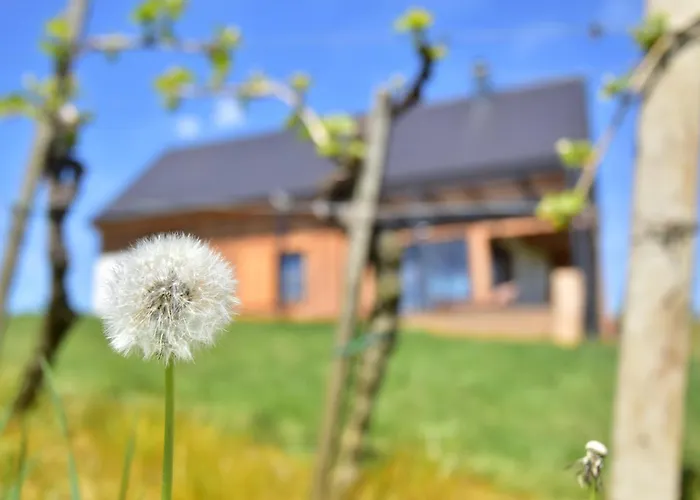 Hisa Vukan - Eco House In Middle Of Vineyard With Sauna! וילה *