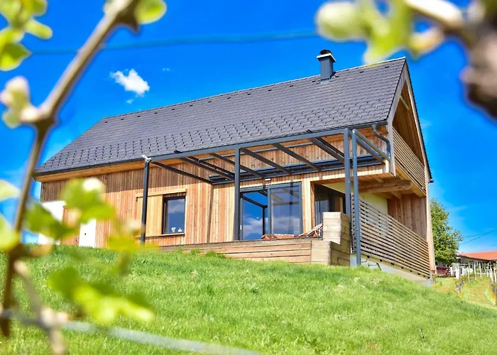 Hisa Vukan - Eco House In Middle Of Vineyard With Sauna! * Miklavz pri Ormozu