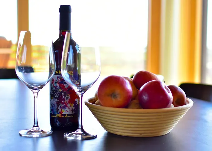 Hisa Vukan - Eco House In Middle Of Vineyard With Sauna! * Miklavz pri Ormozu