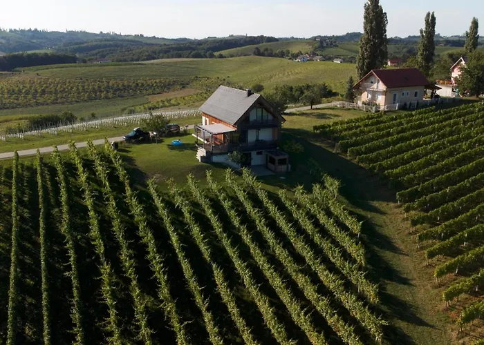 Hisa Vukan - Eco House In Middle Of Vineyard With Sauna! וילה Miklavz pri Ormozu