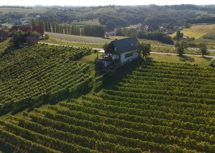 Hisa Vukan - Eco House In Middle Of Vineyard With Sauna! * Miklavz pri Ormozu