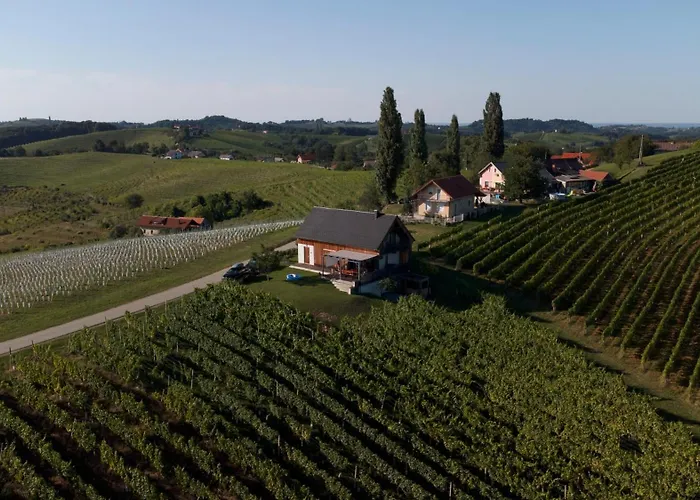 Hisa Vukan - Eco House In Middle Of Vineyard With Sauna! וילה