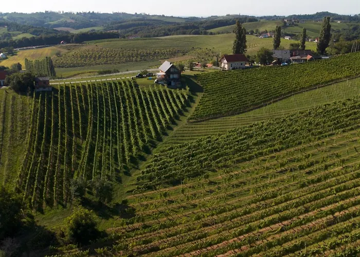 Hisa Vukan - Eco House In Middle Of Vineyard With Sauna! Miklavz pri Ormozu